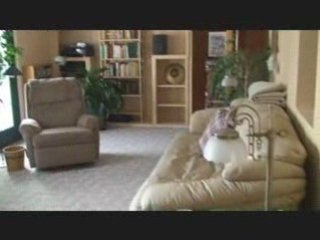 Northern Michigan Waterfront Home