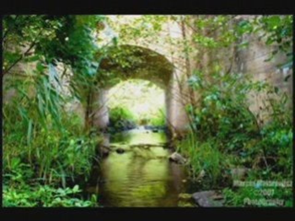 Upływa szybko życie