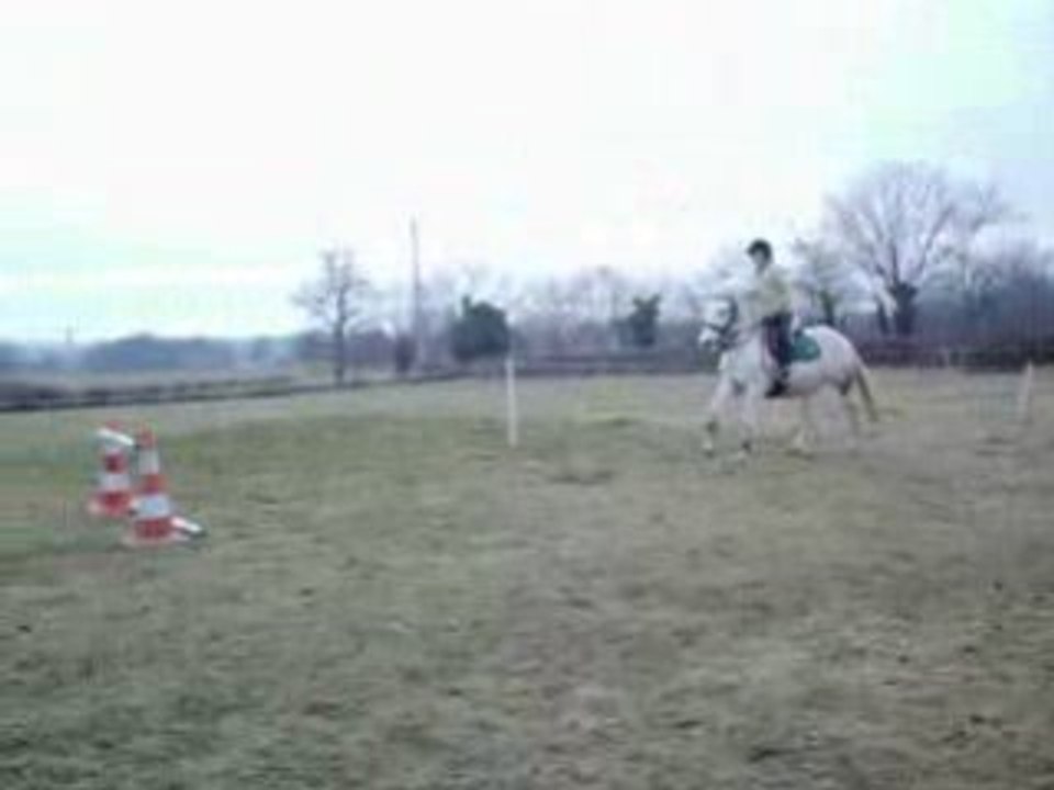 Pamela & Camille Obstacle