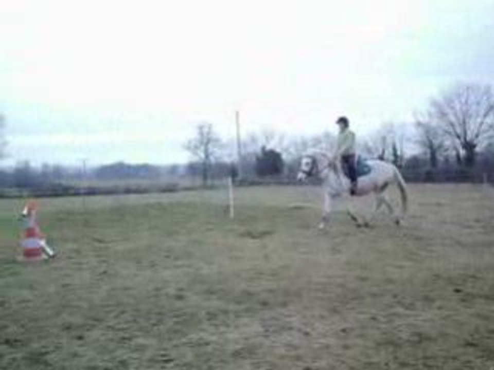 Pamela & Camille Obstacle