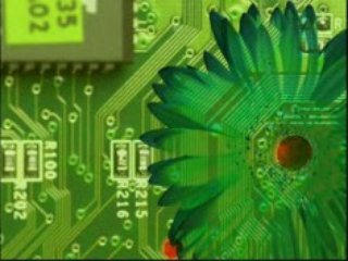 What Are You Willing to Do For the Planet?