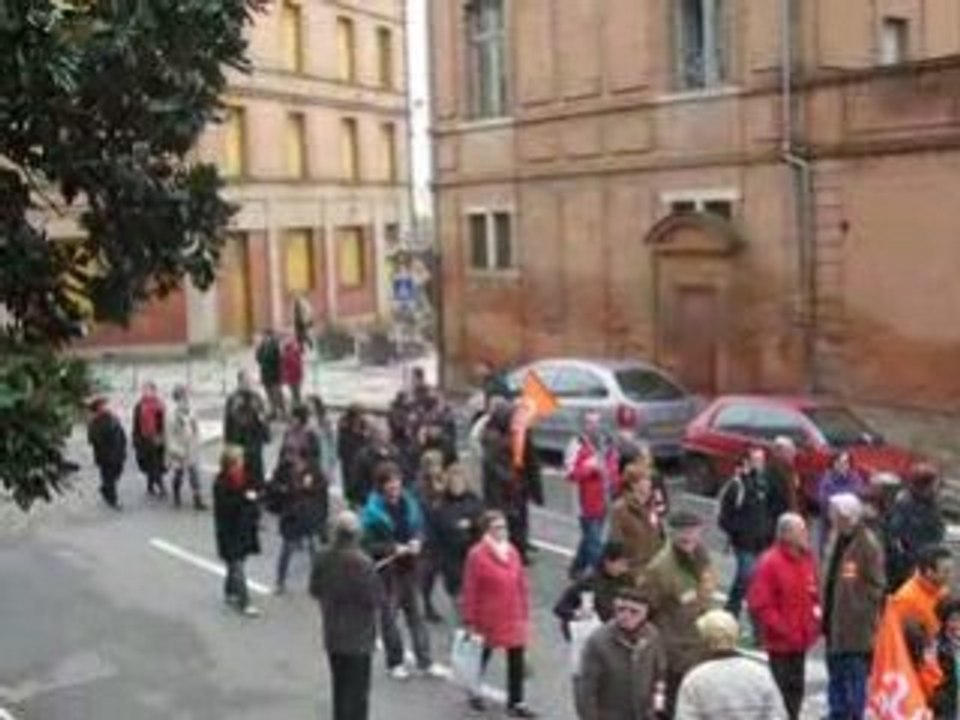 La CFDT à la manifestation du 29 janvier 2009 à Montauban