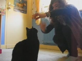 Yuki , Acrobate , Loukoum ...