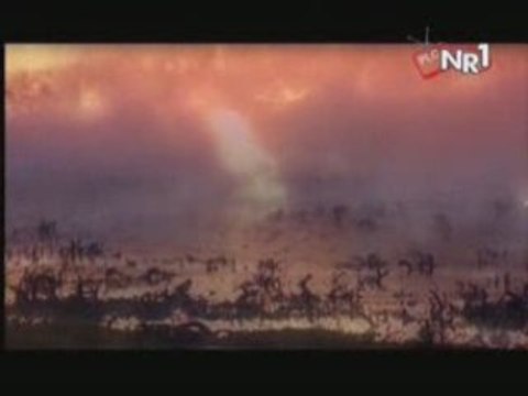 Melike Demirag - Duyun Beni (2009) by Aluxton