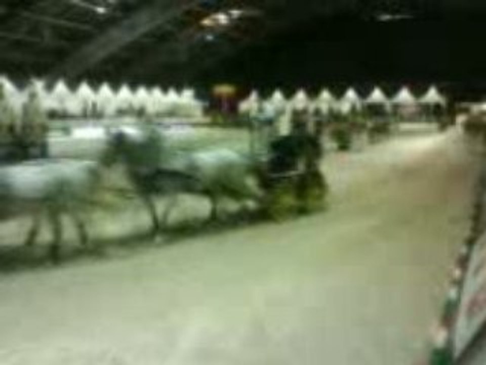 Jumping de nantes 2009 057