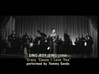 Tommy Sands  - Crazy Coz I Love You