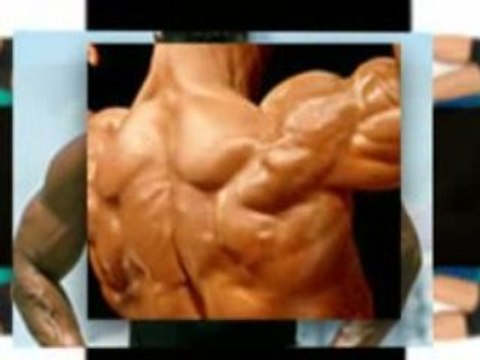 Wellness Fitness, Aerobic Fitness, and Womens Fitness News