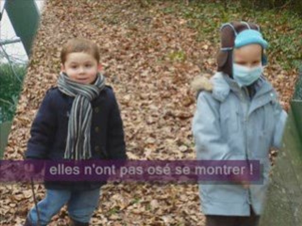 La chasse aux sorcières_0001