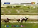 2009 (23) Premio Real Maest.Caball.Sevilla (H) (DUDU)