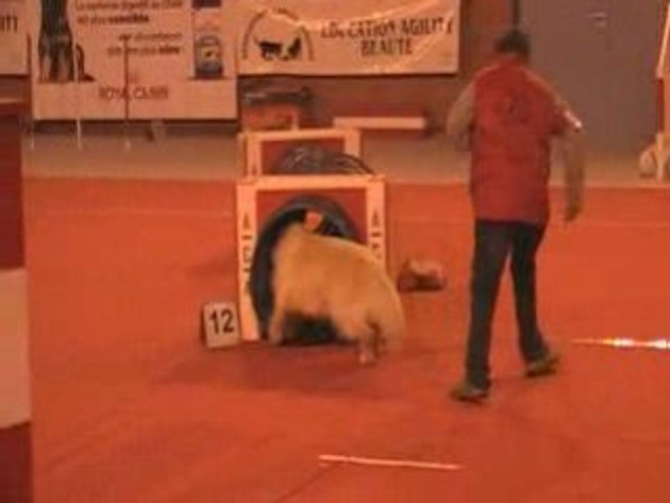 aire Jumping berlioz