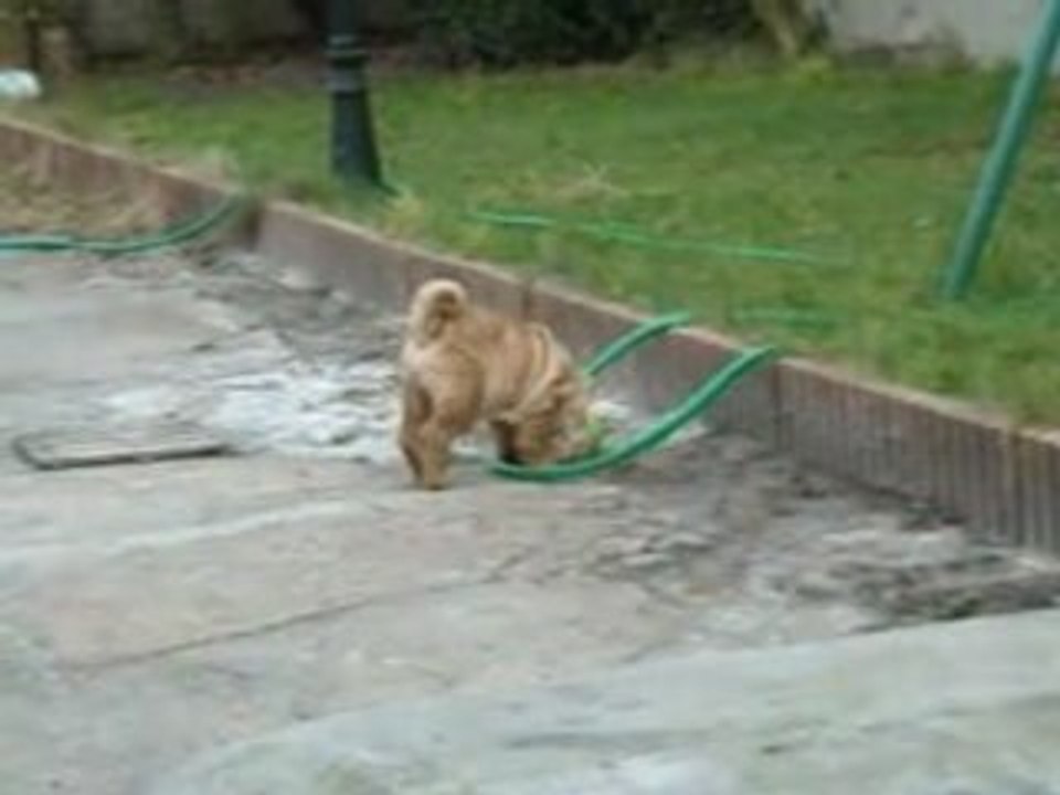 bouboule1