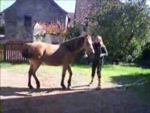 Les valses par Junon