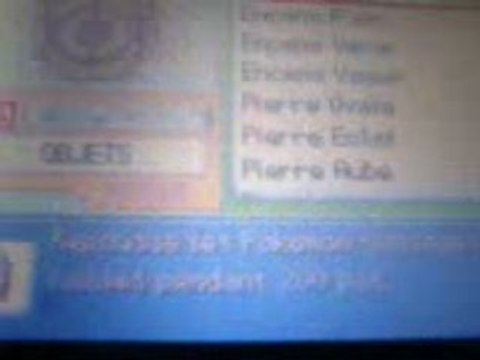 Insolourdo shiney *2 + Herbe shiney