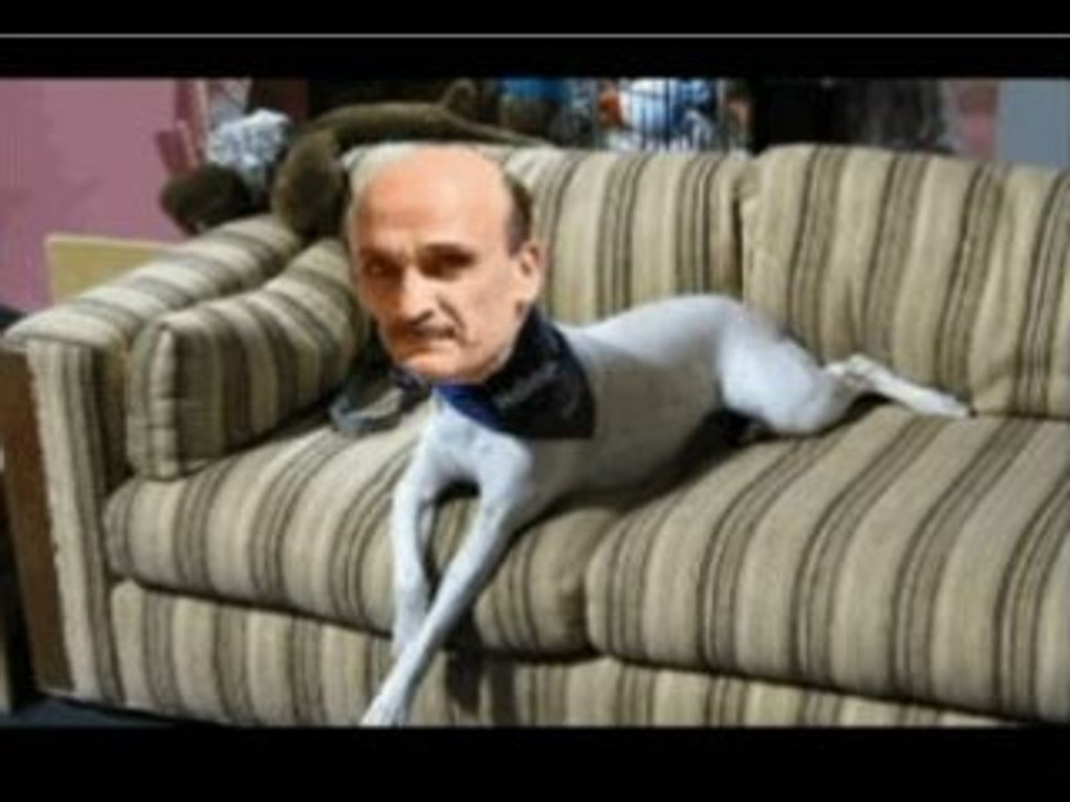 kalb Hakim