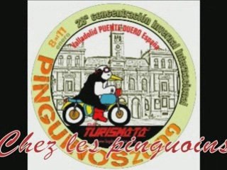 PINGUINOS 2009