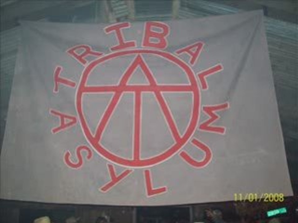 Tribal asylum breakdown
