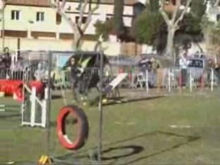 TZAR-GPF-OLLIOULES-25-01-09