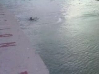 1/02/09 premier bain de l'année