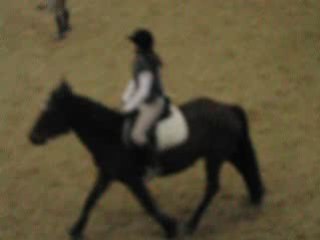 Au Club Hippique