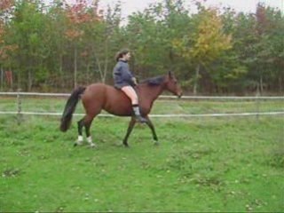 Année 2008 - Jamila