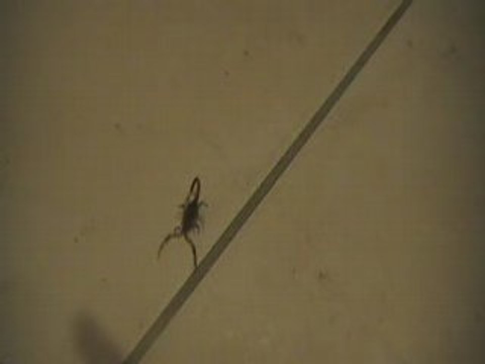 MOV02C
