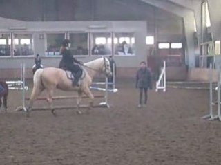 Mon parcours avec Polo =)