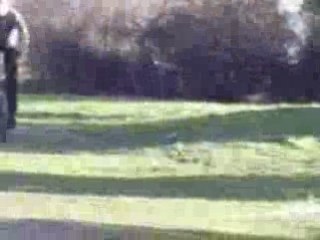 session dirt in meze