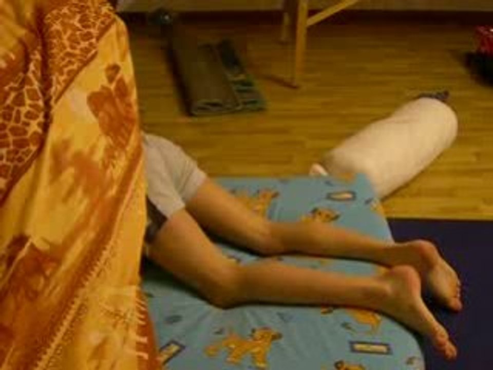 lambert dans les coussin