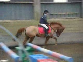 perle de loisel a vendre