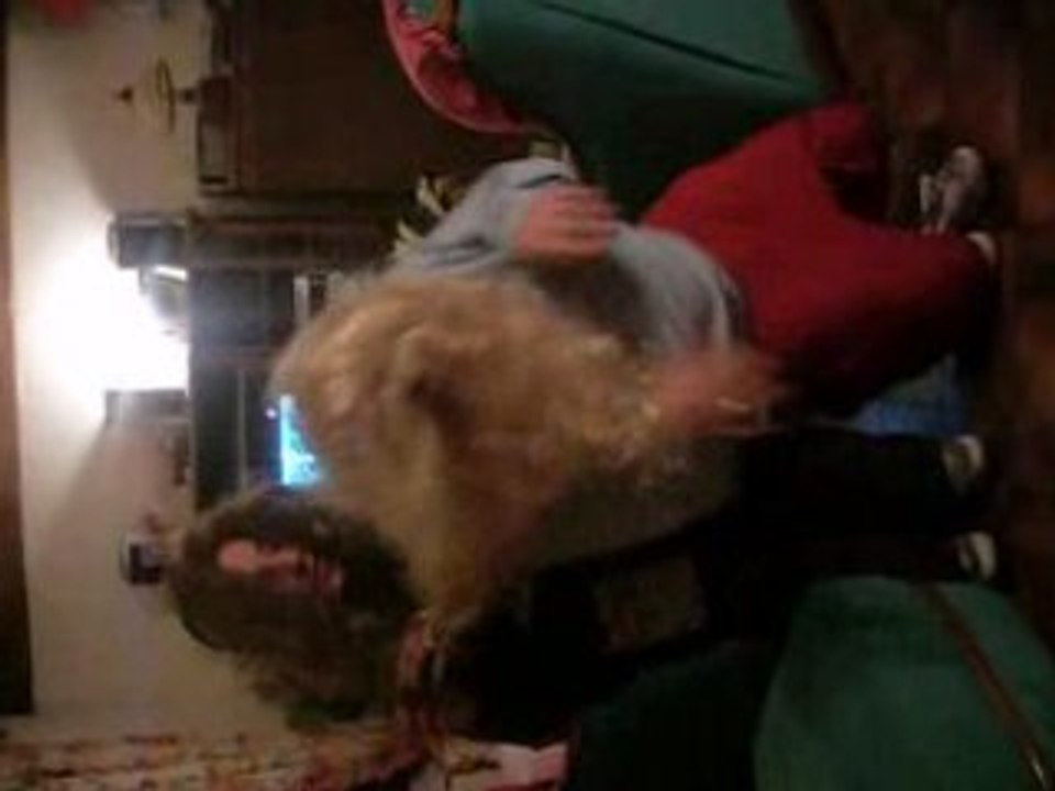 2n1 danse greaze