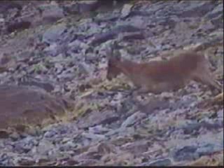 Desde el nacimiento del Río Lanjarón