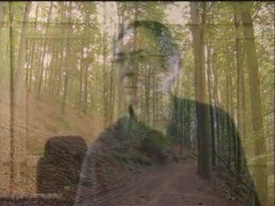 La fin de l'énergie noire - FilmsDocumentaires.com