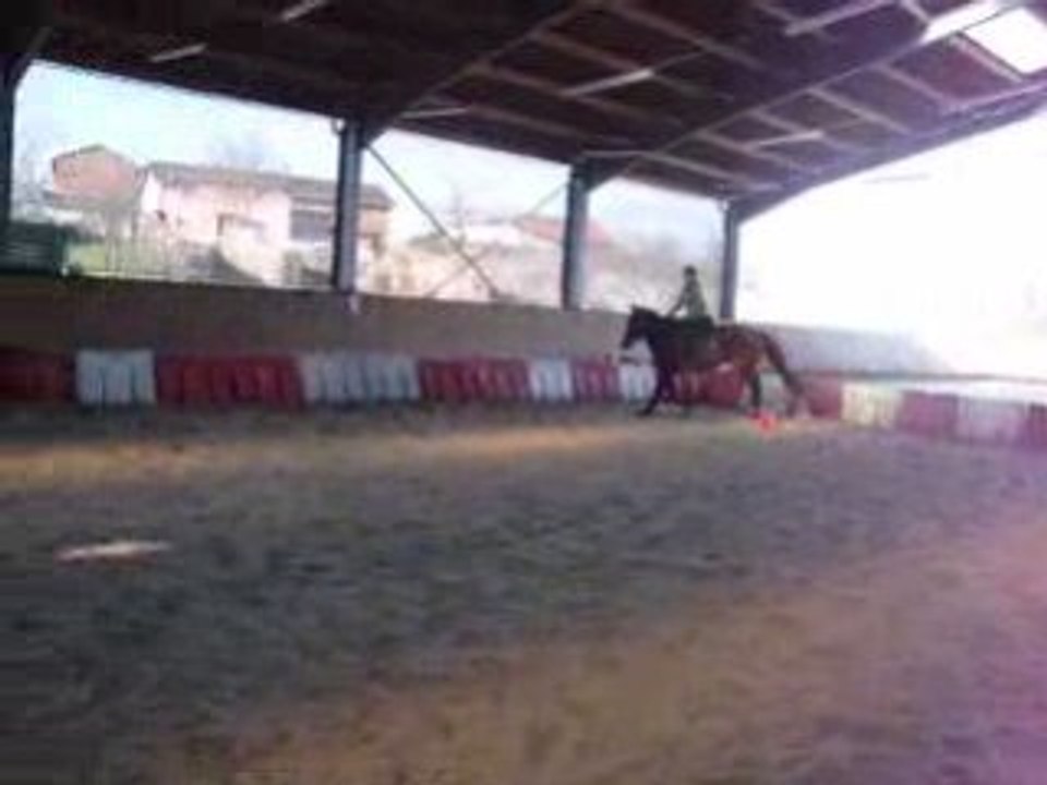 Bvcfv 187