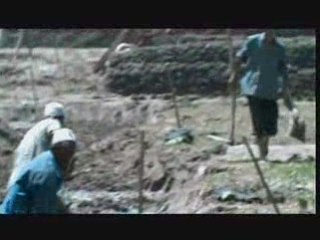 MP: From Dry Desert to Sweet Fruits on The Silk Road