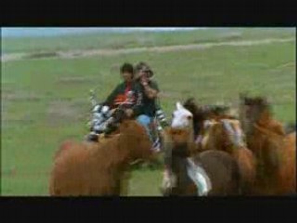 MP: Mongolian Horses of World's Biggest Empire - Marco ...