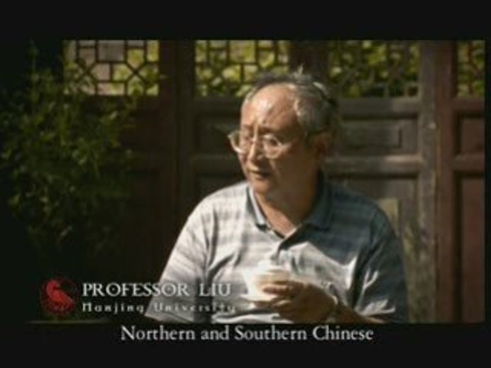 MP: Why Marco Polo Sees No Tea in China?