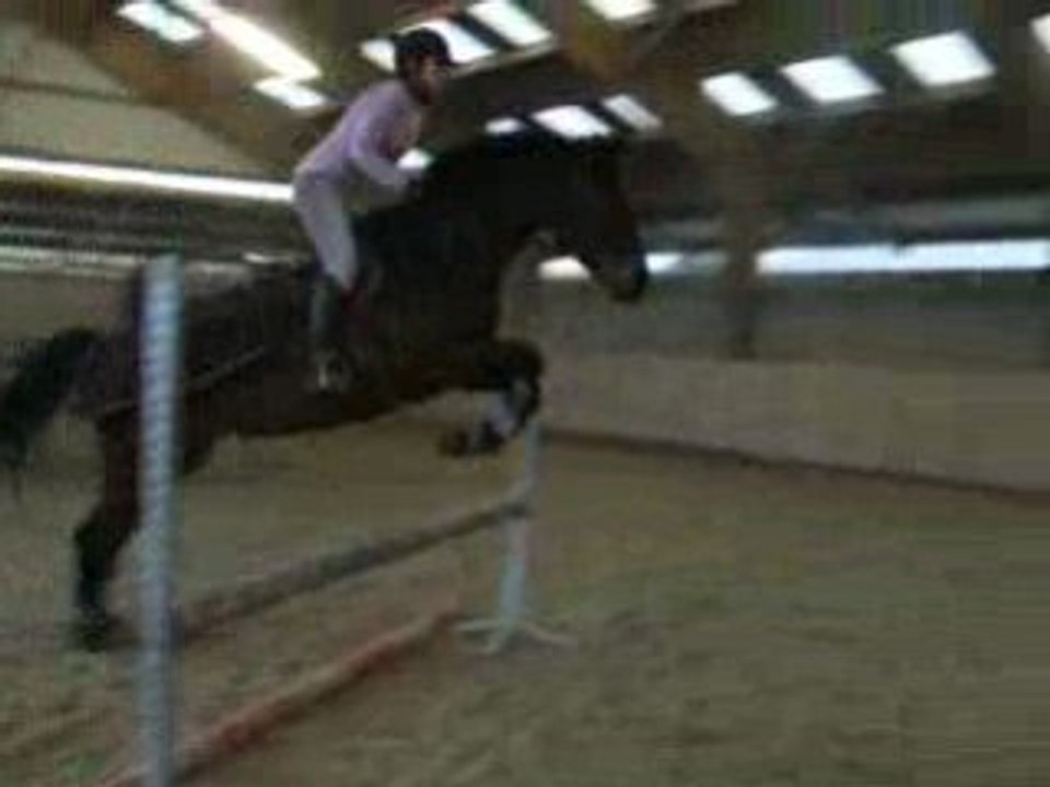 30.01.09 Ptite Reine