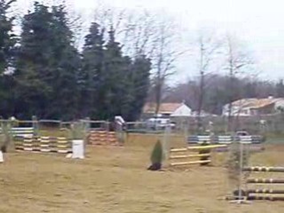 concours saut d'obstacle