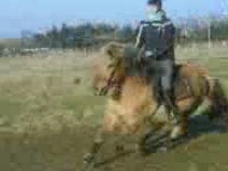 Pilou galop 2mains