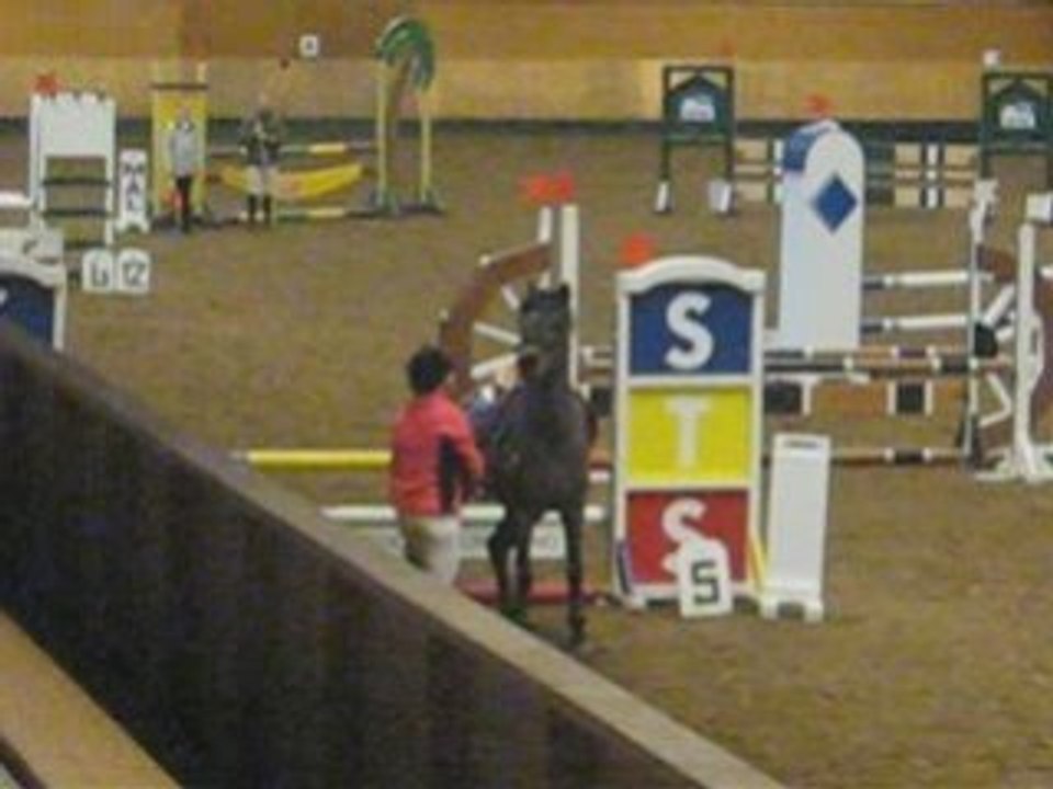 Hoppning