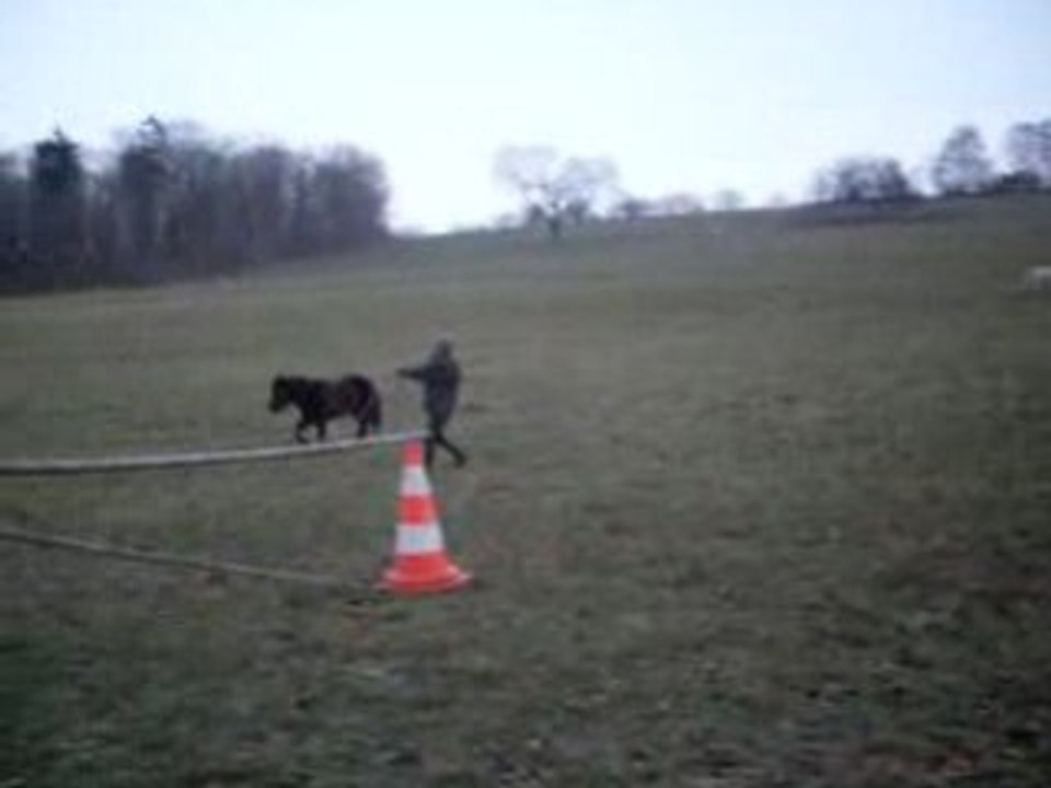 Chipsi saut en liberté