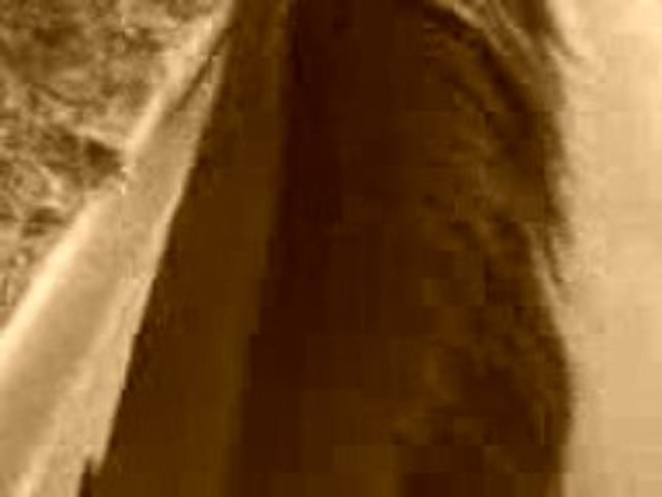 MOV01701