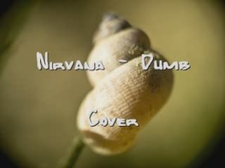 Nirvana - Dumb (cover)