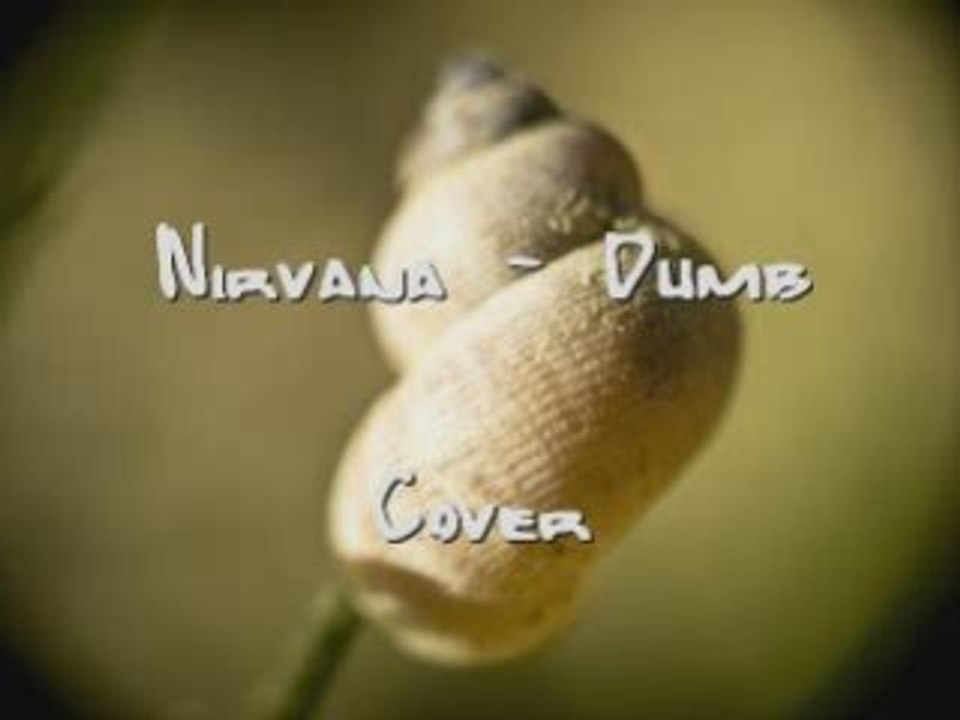 Nirvana - Dumb (cover)