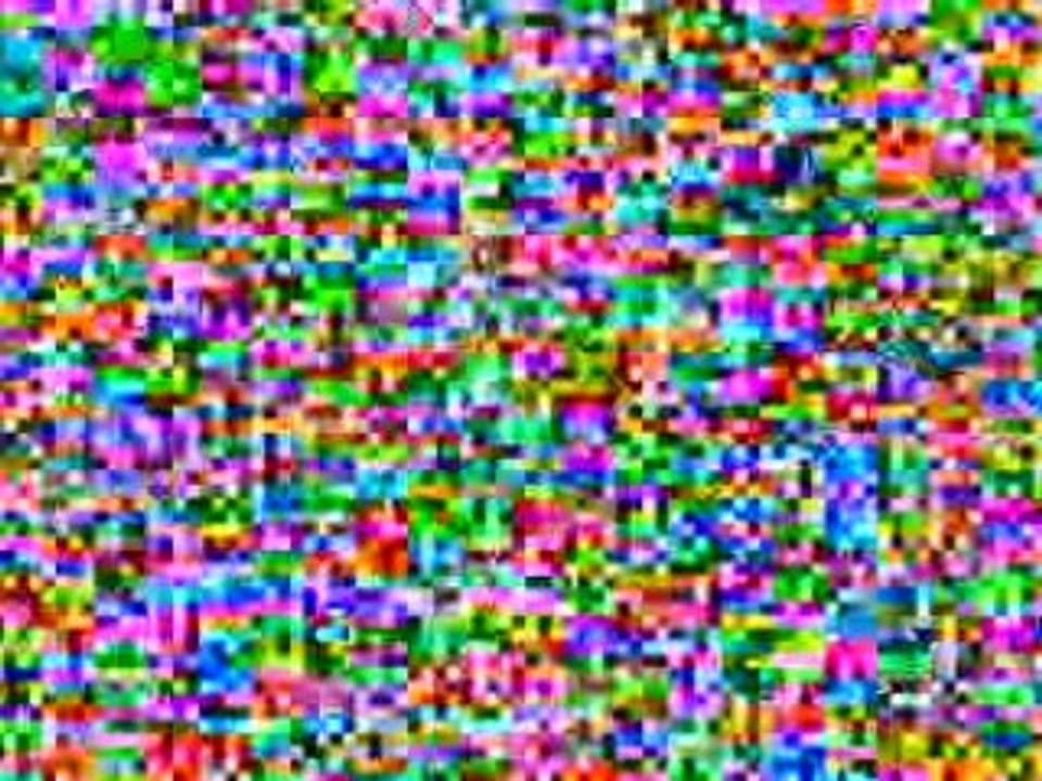 Tampa Bay Home Based Business Carbon Copy Pro Fuel Freedom