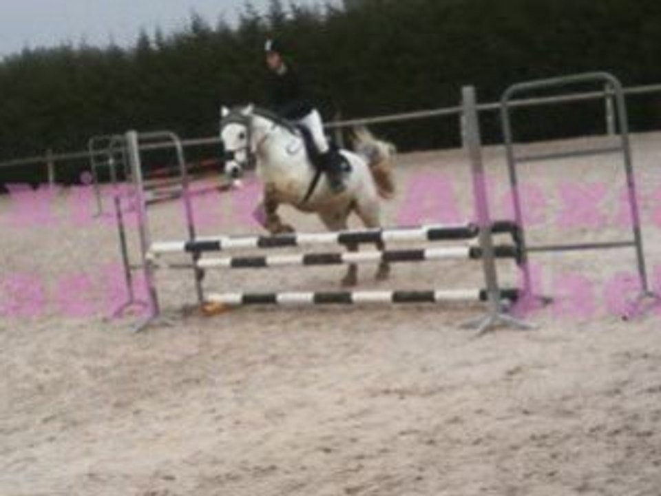 Cso dressage