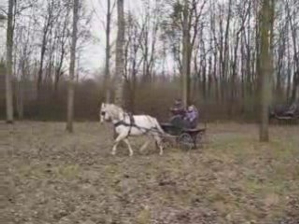 attelage maniabilité