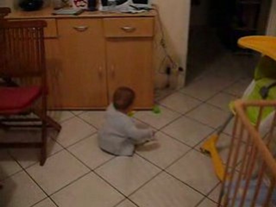 2009.01.30 - une drôle de façon de se déplacer....