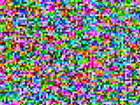 Tampa Bay Home Based Business Carbon Copy Pro Maxous