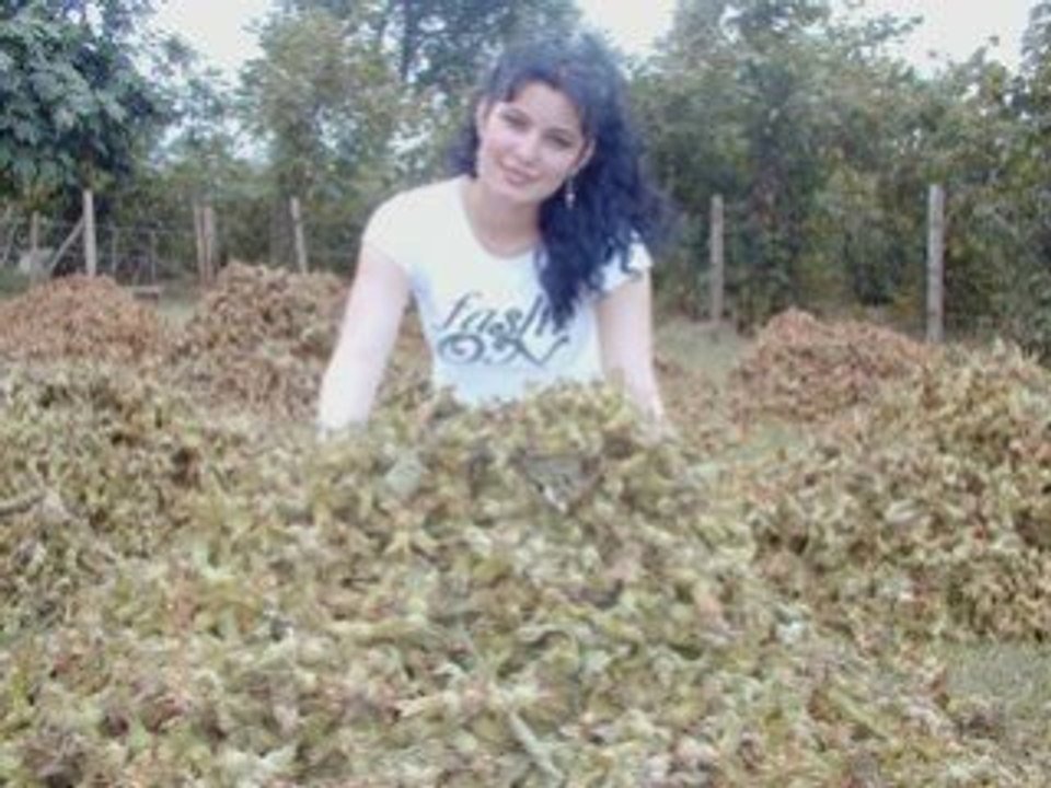 Erkan Ocakli - Findik Güzeli